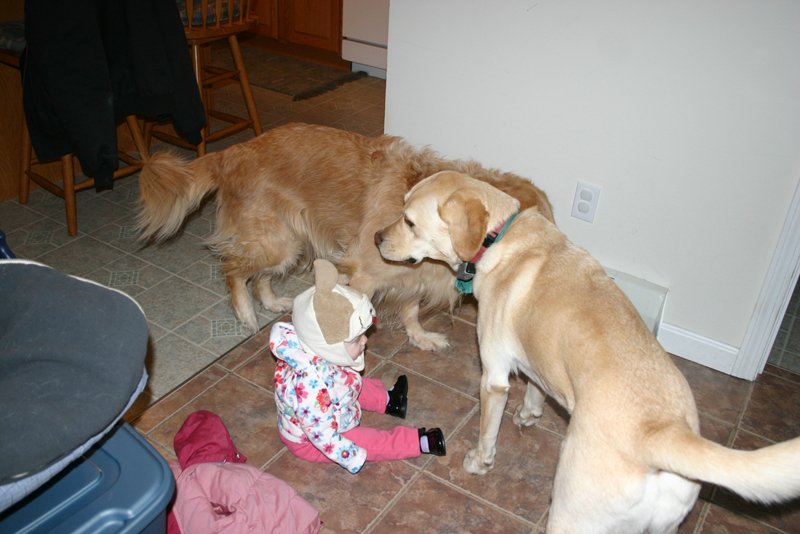 Picture 345