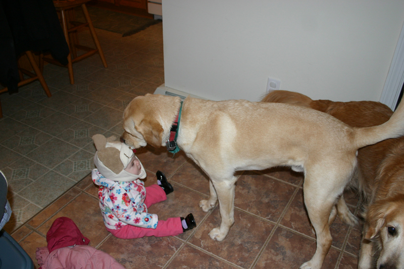 Picture 346