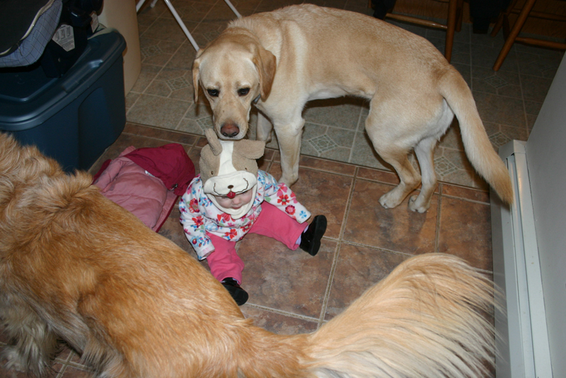 Picture 347