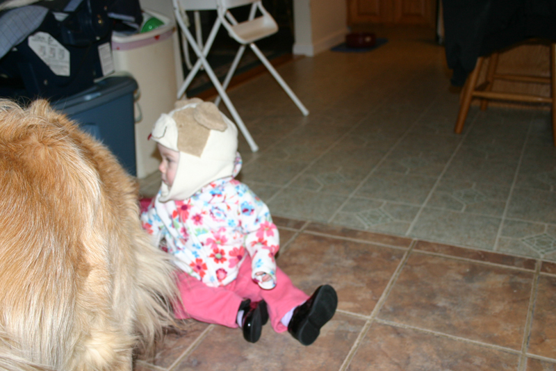 Picture 351