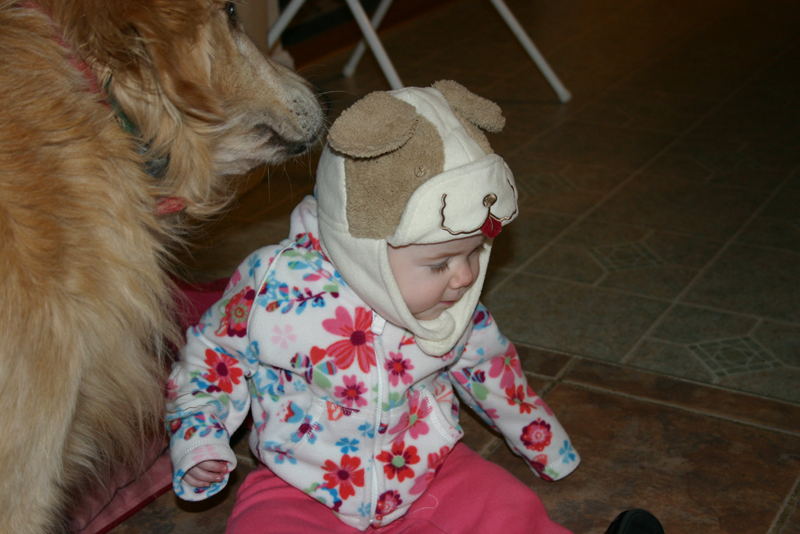 Picture 352
