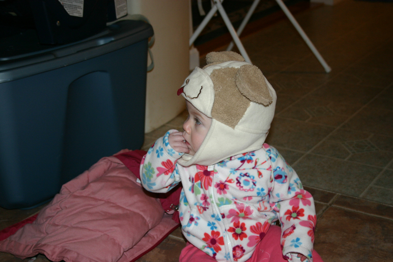 Picture 354