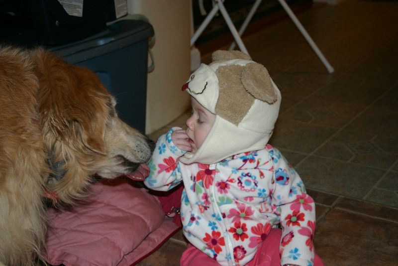 Picture 355