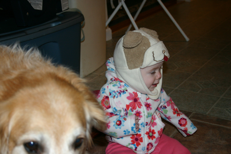 Picture 356