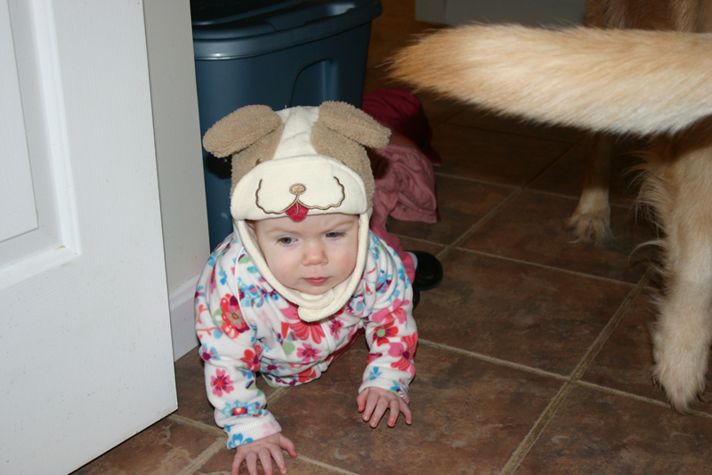 Picture 362