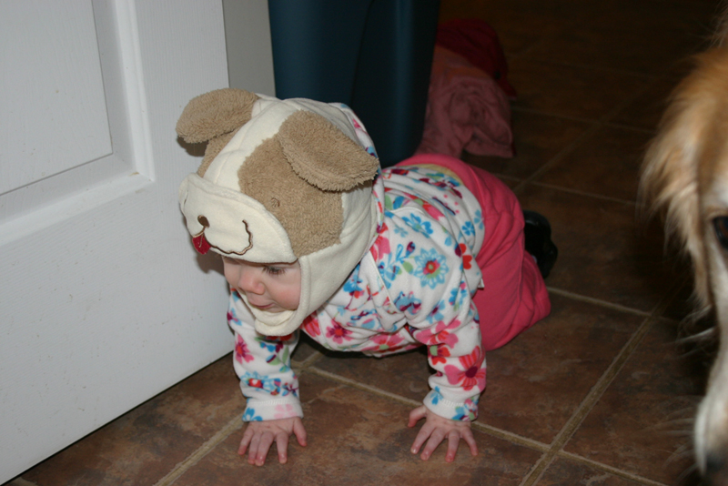 Picture 363