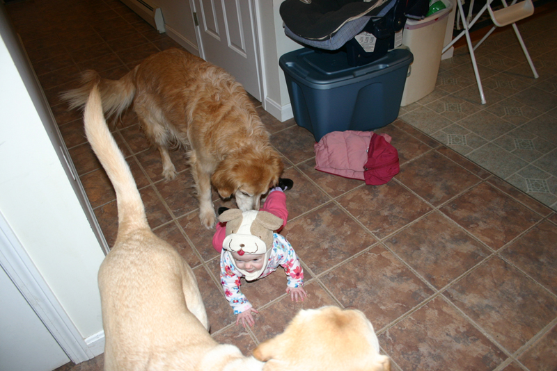 Picture 367