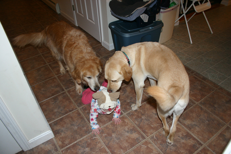 Picture 369