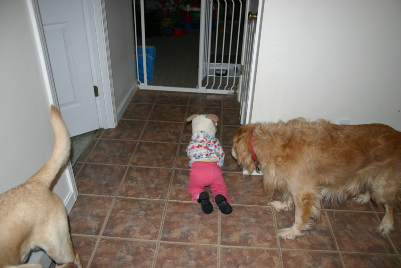 Picture 371