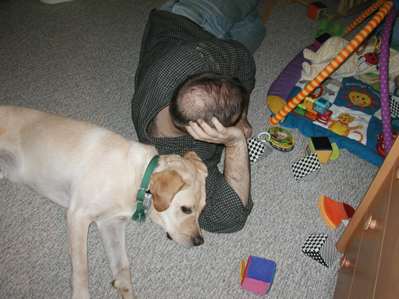 Picture 343
