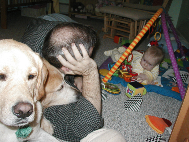 Picture 356