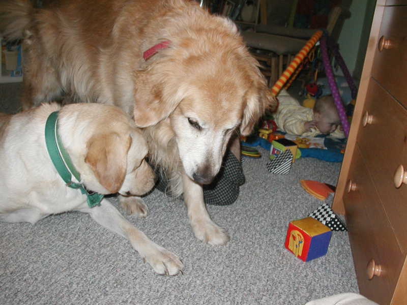 Picture 362