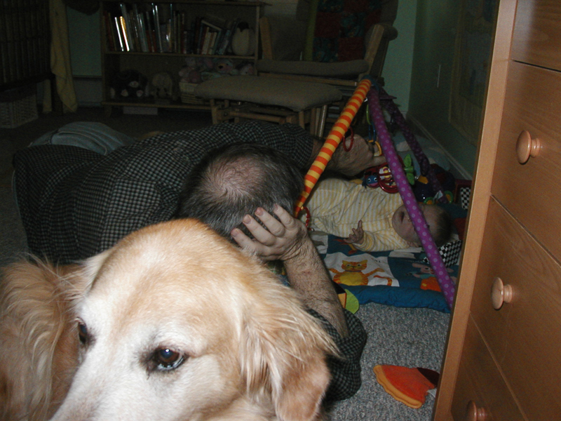 Picture 365