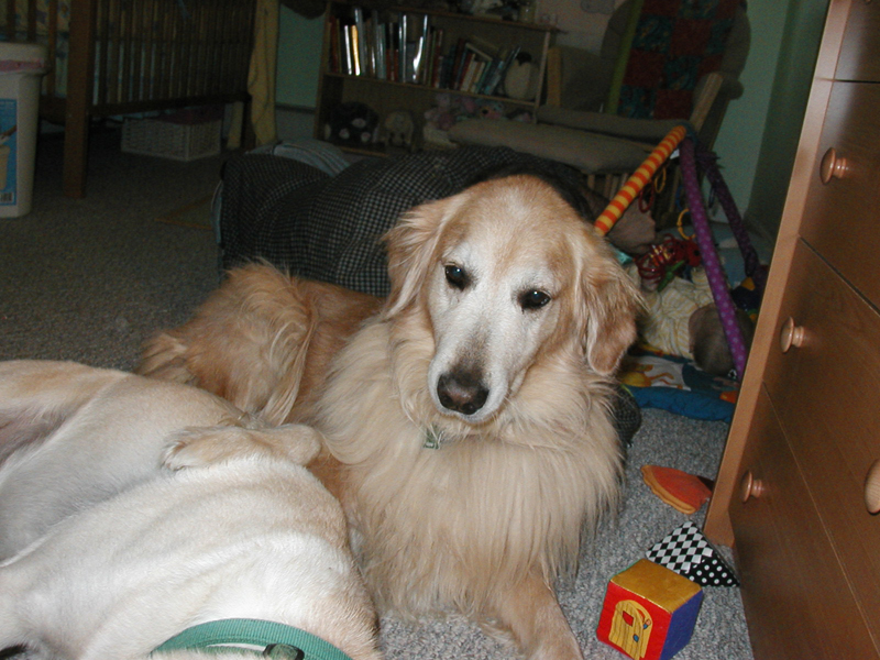 Picture 368