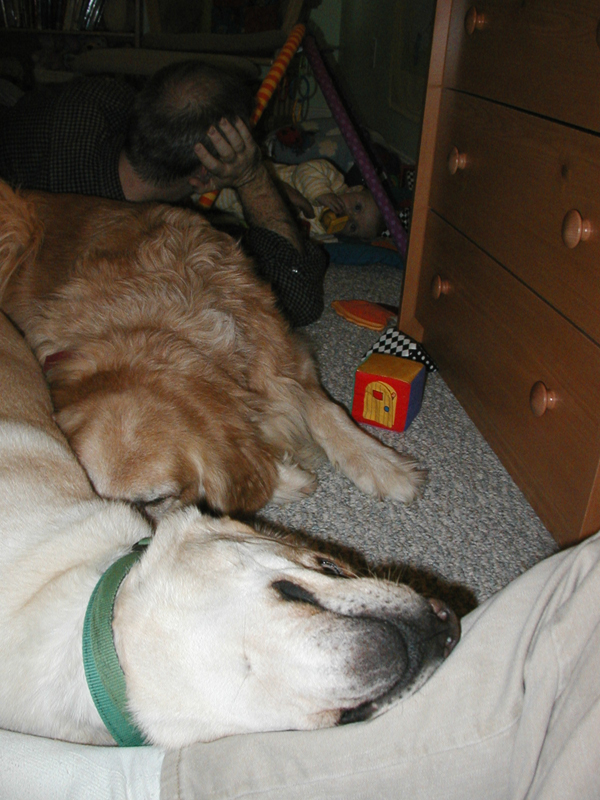 Picture 378
