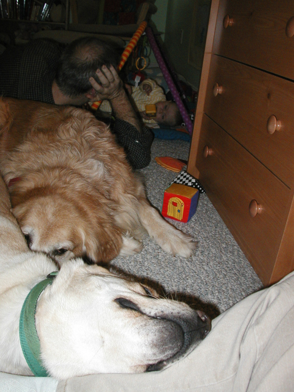 Picture 379