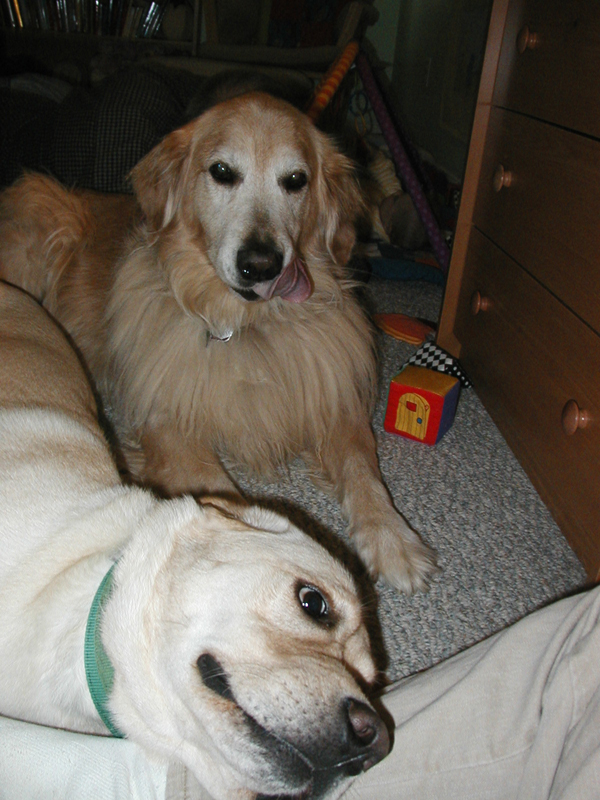 Picture 386