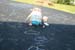 Picture 15853