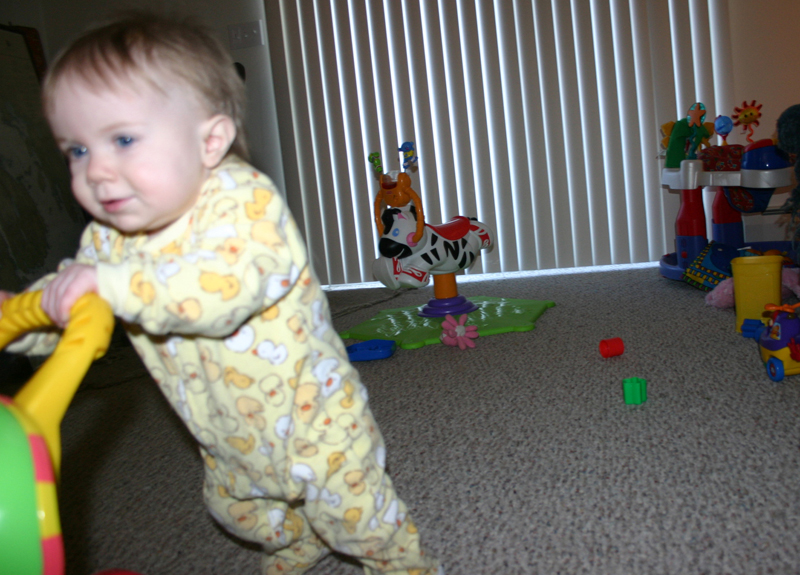 Picture 802