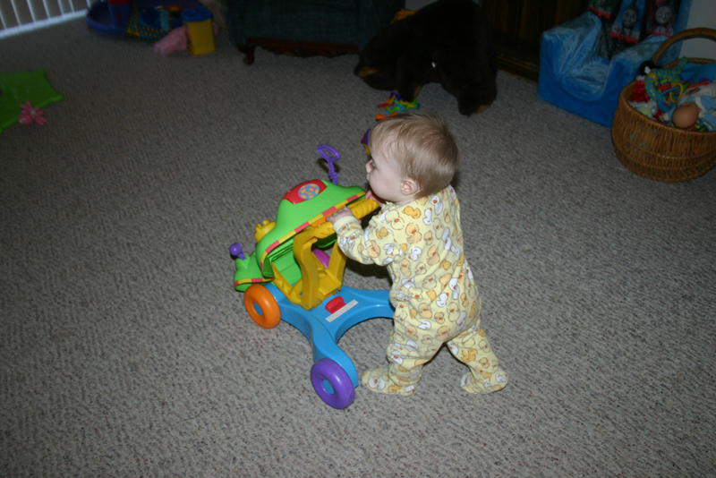 Picture 817