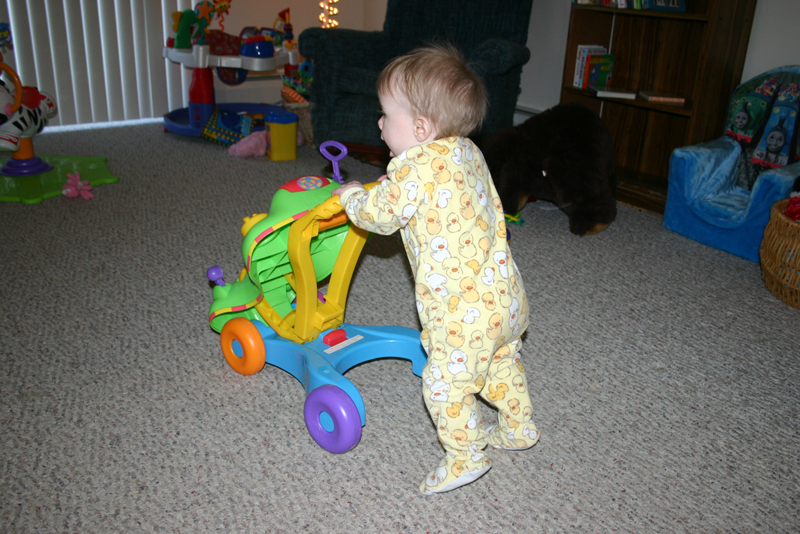 Picture 818