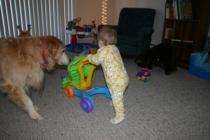 Picture 819