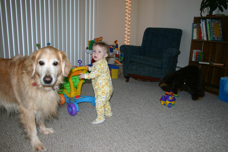 Picture 822