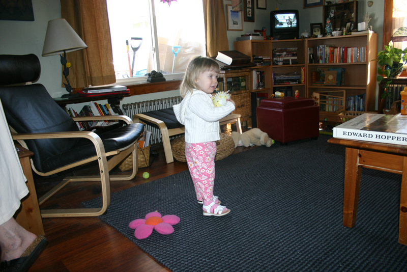 Picture 10358