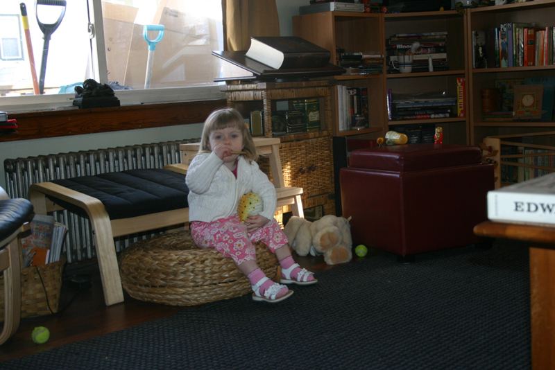 Picture 10372