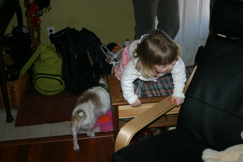 Picture 10424