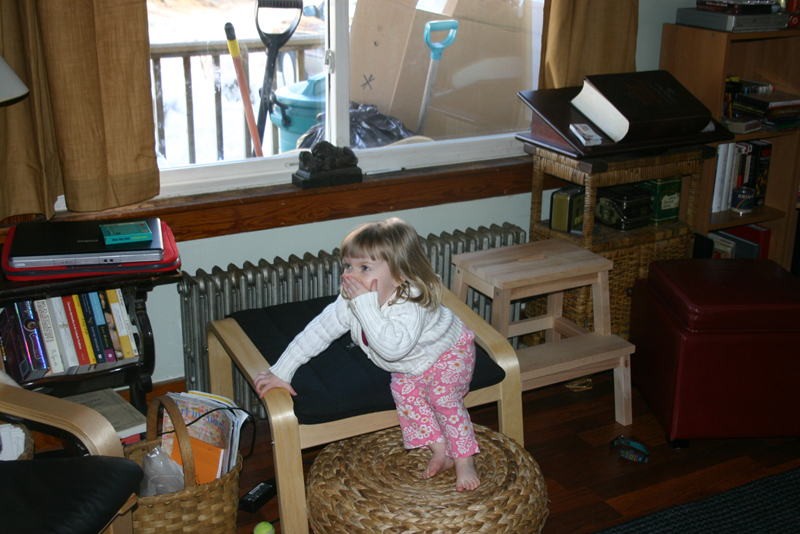 Picture 10433