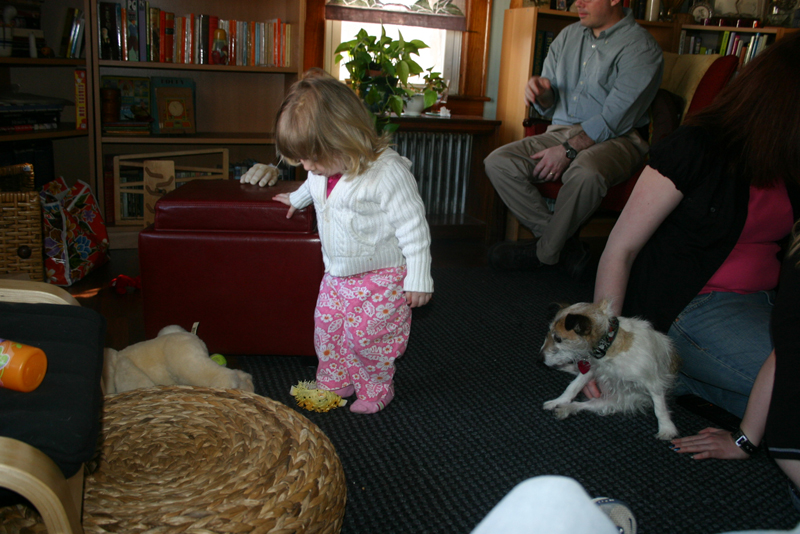 Picture 10488