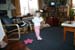 Picture 10358
