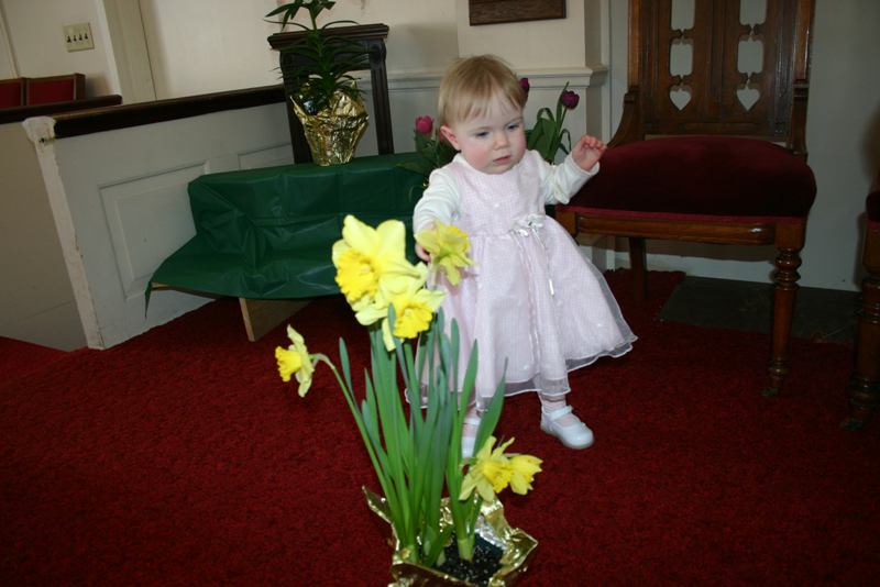 Picture 1236