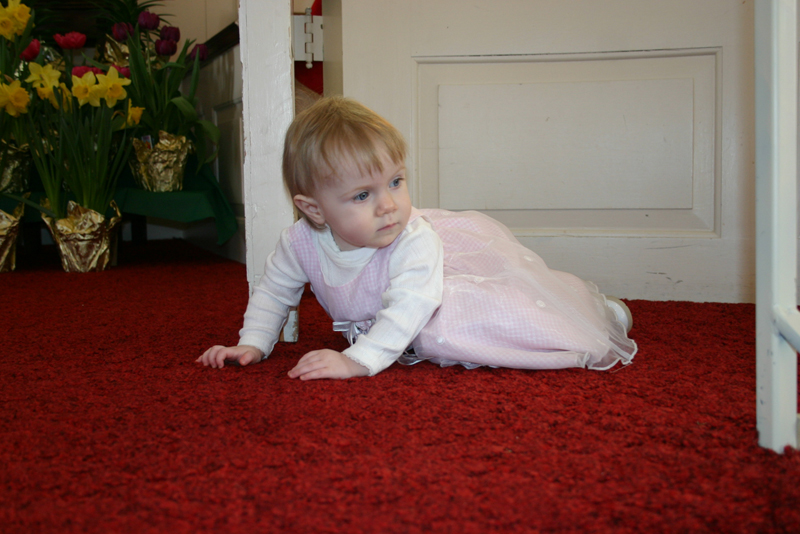 Picture 1140
