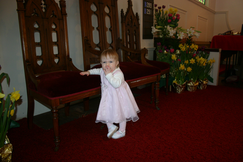 Picture 1146