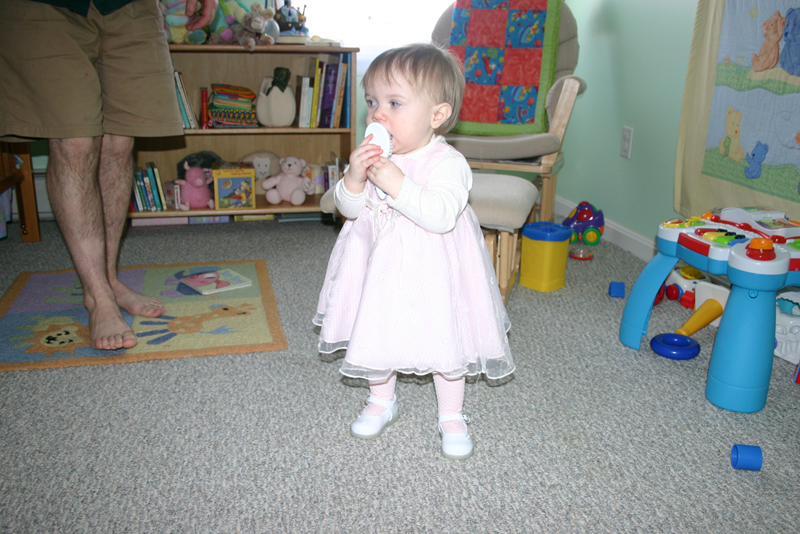 Picture 1245