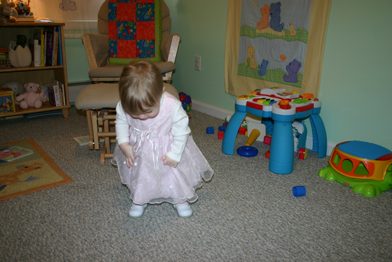 Picture 1262