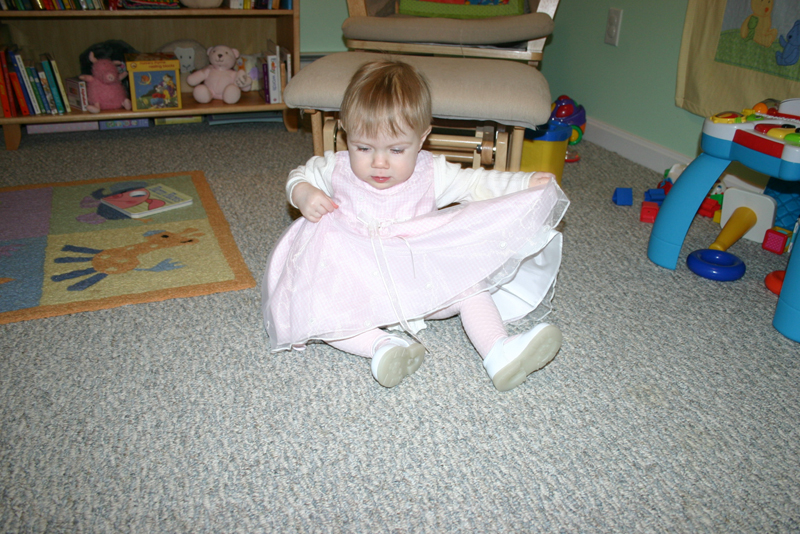 Picture 1263