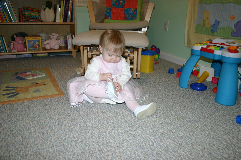 Picture 1269