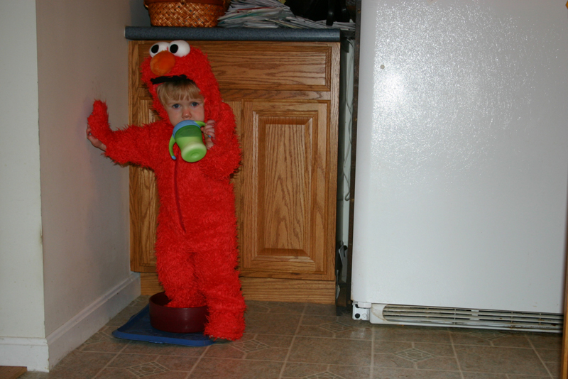 Picture 7075