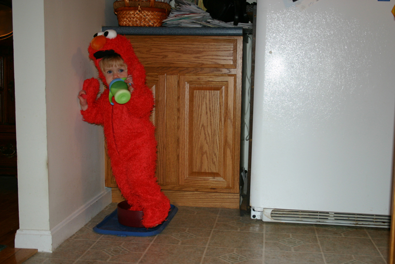 Picture 7076