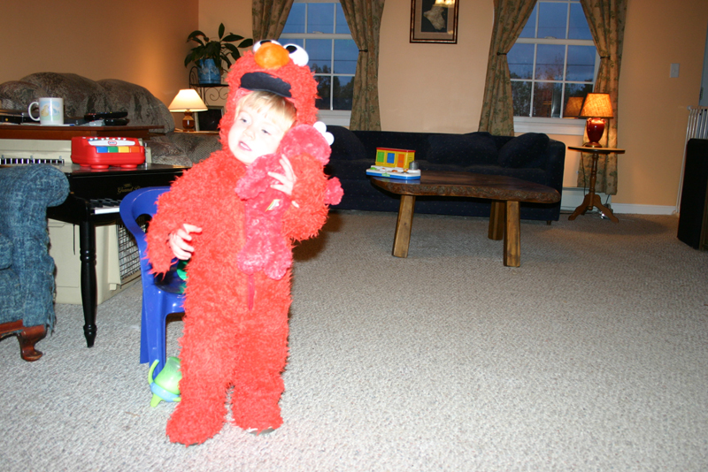 Picture 7095