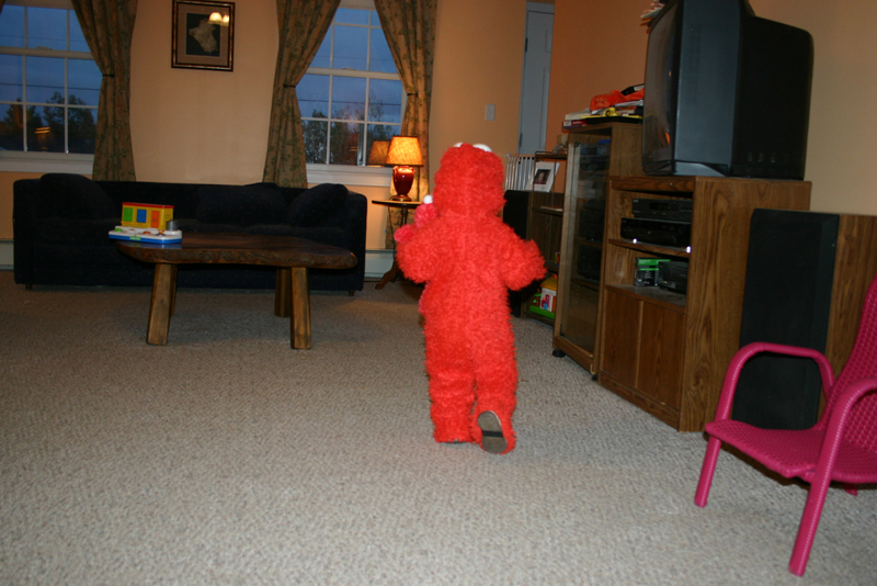 Picture 7098