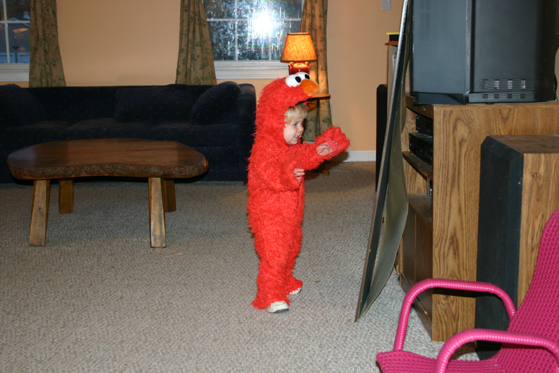 Picture 7126