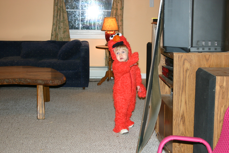 Picture 7129