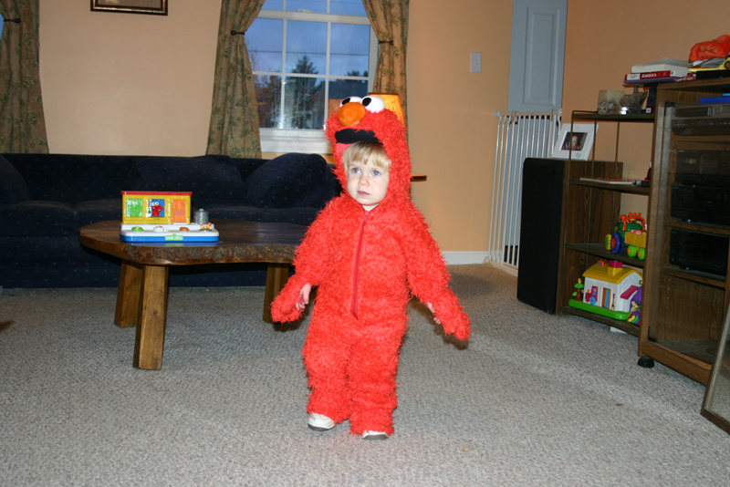 Picture 7137