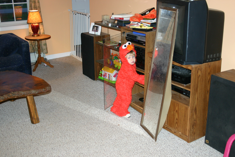 Picture 7143