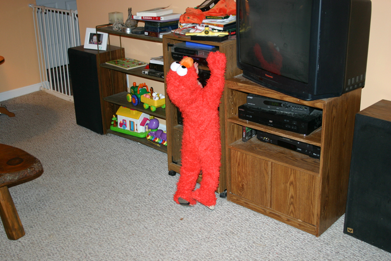 Picture 7146