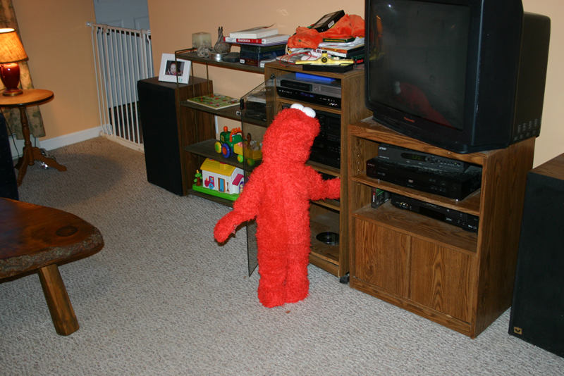 Picture 7148